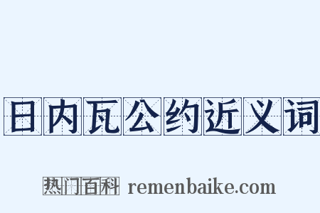日内瓦公约近义词是什么意思的图片